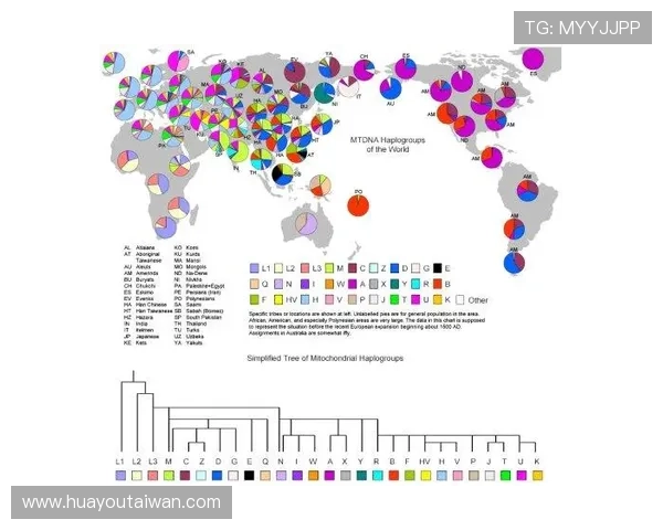 掌握PA真人在线投注技巧提升你的赢钱概率